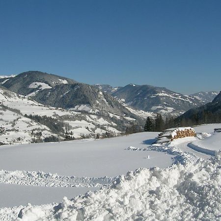 Apartmán Sauschneid Hof Taxenbach Exteriér fotografie